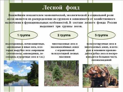 состав земель лесного фонда