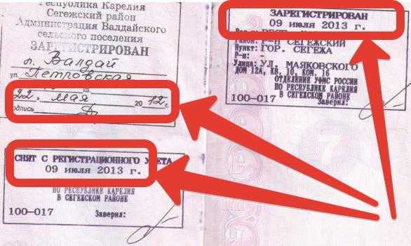 дата регистрации ребенка в паспорте